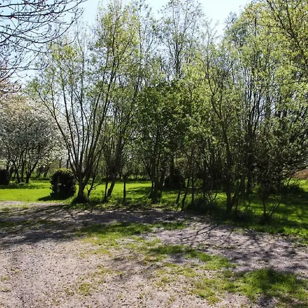 Semi-detached House - Dns041012-l * Butjadingen
